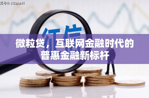 麦寮微粒贷，互联网金融时代的普惠金融新标杆
