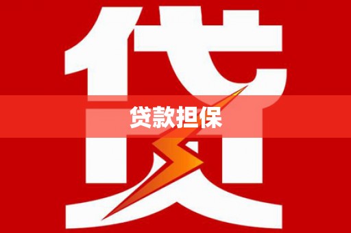 麦寮贷款担保