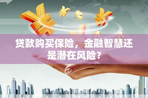 麦寮贷款购买保险，金融智慧还是潜在风险？