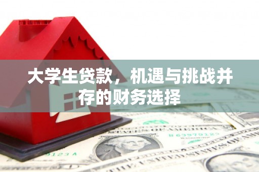 麦寮大学生贷款，机遇与挑战并存的财务选择