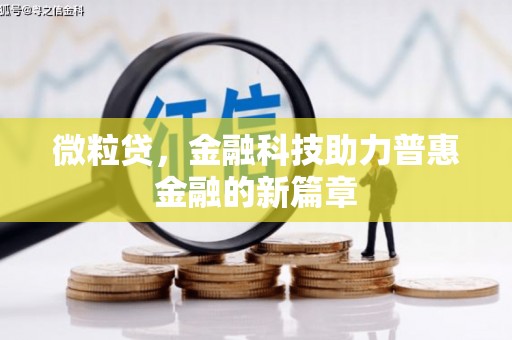 麦寮微粒贷，金融科技助力普惠金融的新篇章
