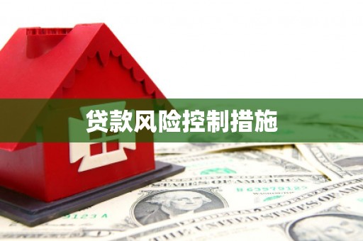 麦寮贷款风险控制措施