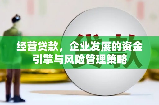 麦寮经营贷款，企业发展的资金引擎与风险管理策略