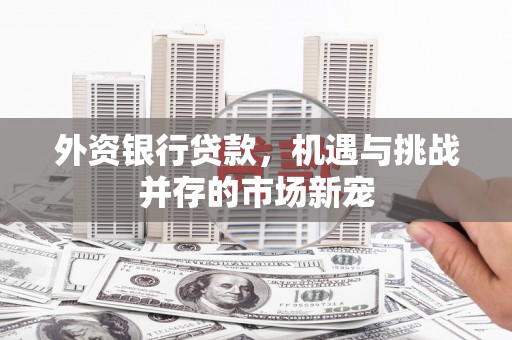 麦寮外资银行贷款，机遇与挑战并存的市场新宠