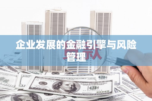 麦寮企业发展的金融引擎与风险管理