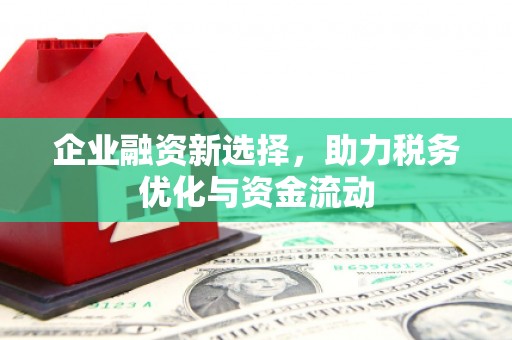 麦寮企业融资新选择，助力税务优化与资金流动