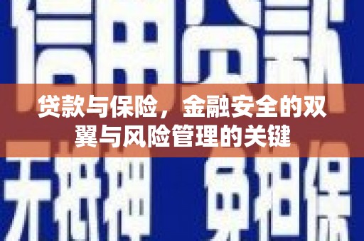 麦寮贷款与保险，金融安全的双翼与风险管理的关键