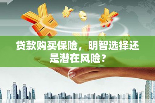 麦寮贷款购买保险，明智选择还是潜在风险？