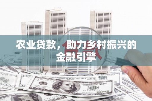 麦寮农业贷款，助力乡村振兴的金融引擎