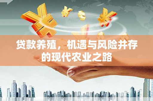麦寮贷款养殖，机遇与风险并存的现代农业之路
