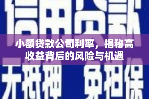 麦寮小额贷款公司利率，揭秘高收益背后的风险与机遇