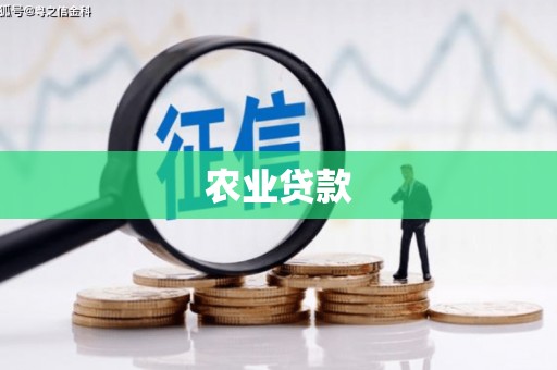 麦寮农业贷款