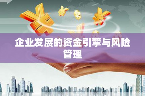 麦寮企业发展的资金引擎与风险管理
