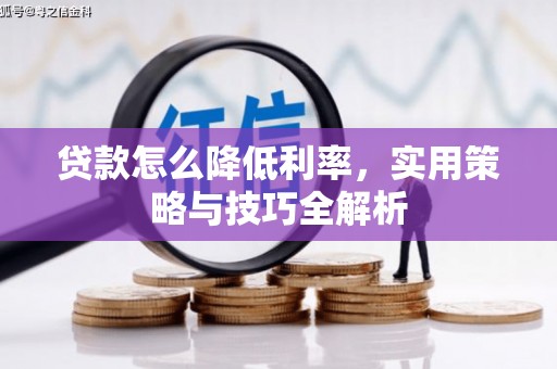 麦寮贷款怎么降低利率，实用策略与技巧全解析