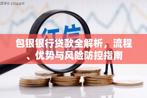 麦寮包银银行贷款全解析，流程、优势与风险防控指南