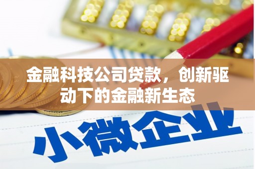 麦寮金融科技公司贷款，创新驱动下的金融新生态
