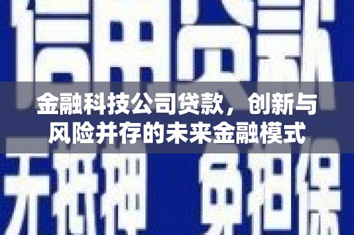 麦寮金融科技公司贷款，创新与风险并存的未来金融模式