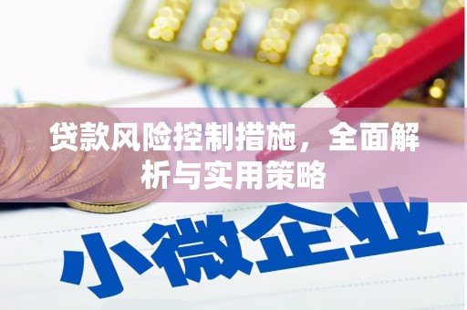 麦寮贷款风险控制措施，全面解析与实用策略