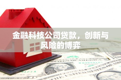 麦寮金融科技公司贷款，创新与风险的博弈