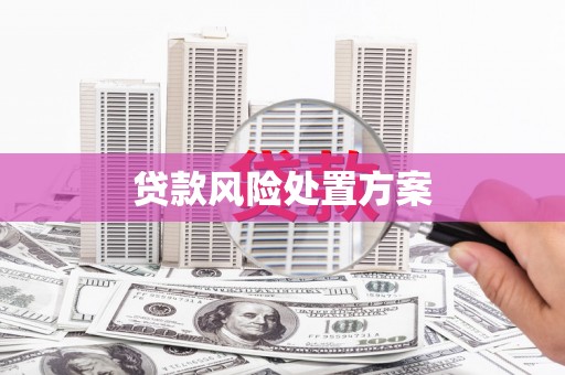 麦寮贷款风险处置方案