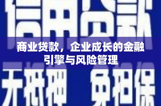 麦寮商业贷款，企业成长的金融引擎与风险管理