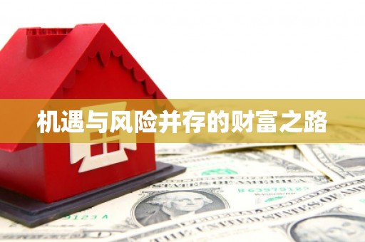 麦寮机遇与风险并存的财富之路