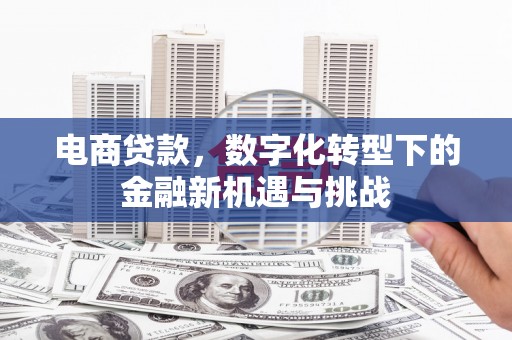 麦寮电商贷款，数字化转型下的金融新机遇与挑战