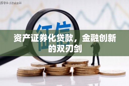麦寮资产证券化贷款，金融创新的双刃剑