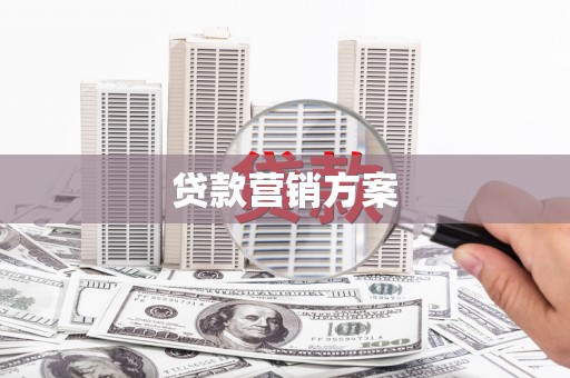 麦寮贷款营销方案