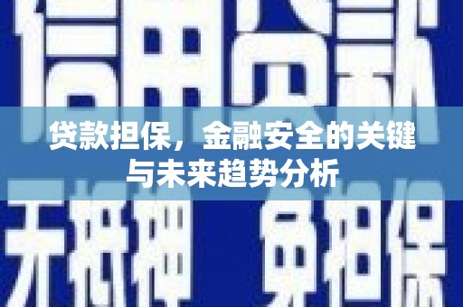 麦寮贷款担保，金融安全的关键与未来趋势分析