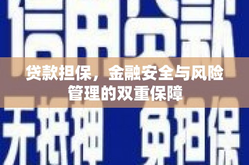 麦寮贷款担保，金融安全与风险管理的双重保障