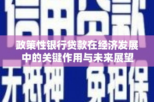 麦寮政策性银行贷款在经济发展中的关键作用与未来展望