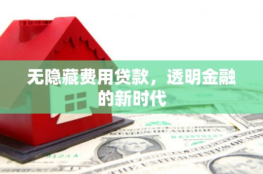 麦寮无隐藏费用贷款，透明金融的新时代