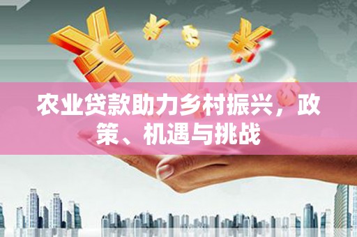 麦寮农业贷款助力乡村振兴，政策、机遇与挑战