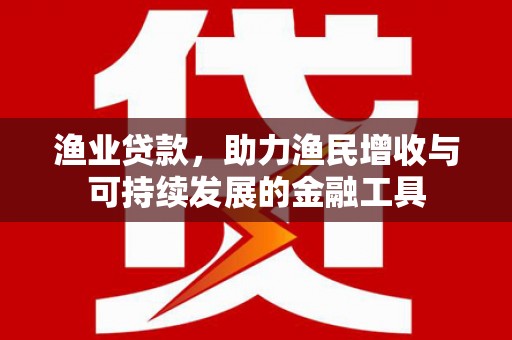 麦寮渔业贷款，助力渔民增收与可持续发展的金融工具