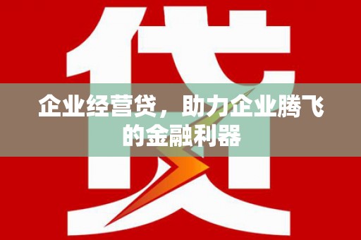 麦寮企业经营贷，助力企业腾飞的金融利器