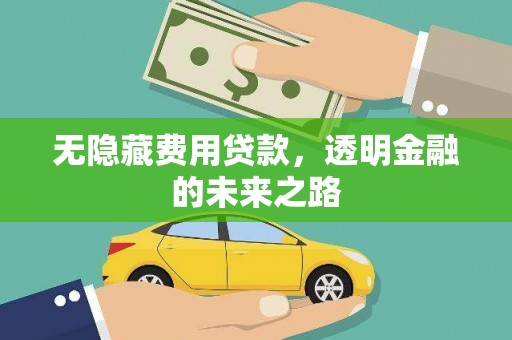 麦寮无隐藏费用贷款，透明金融的未来之路