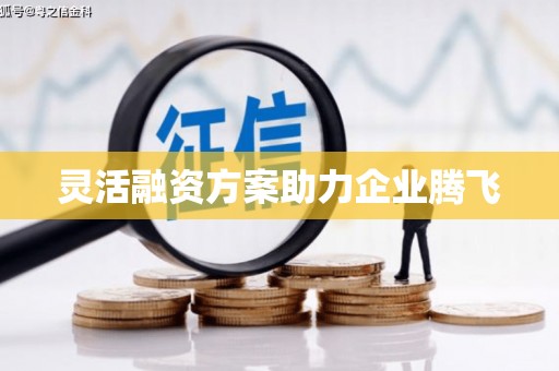 麦寮灵活融资方案助力企业腾飞