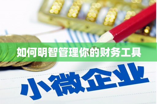 麦寮如何明智管理你的财务工具