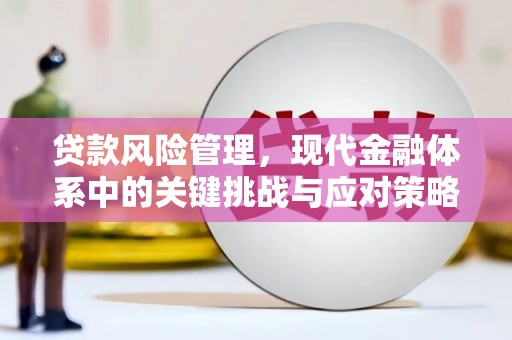 麦寮贷款风险管理，现代金融体系中的关键挑战与应对策略