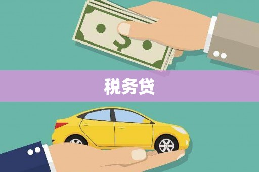 麦寮税务贷