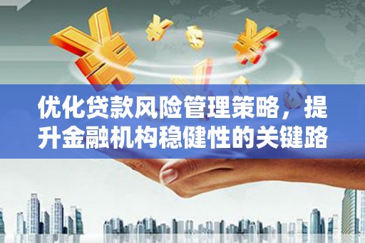 麦寮优化贷款风险管理策略，提升金融机构稳健性的关键路径