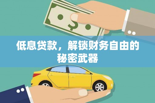 麦寮低息贷款，解锁财务自由的秘密武器