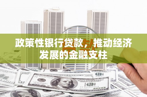麦寮政策性银行贷款，推动经济发展的金融支柱