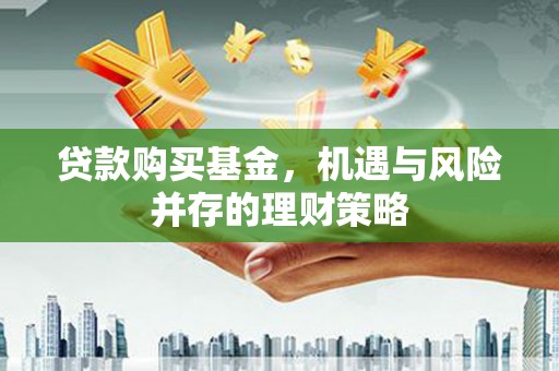 麦寮贷款购买基金，机遇与风险并存的理财策略