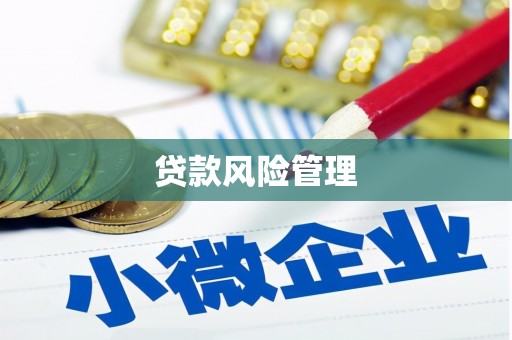 麦寮贷款风险管理