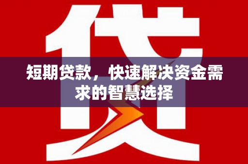 麦寮短期贷款，快速解决资金需求的智慧选择