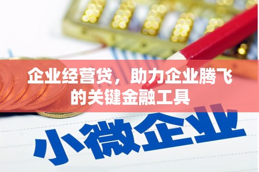 麦寮企业经营贷，助力企业腾飞的关键金融工具