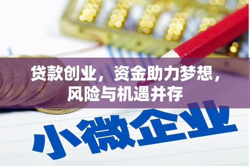 麦寮贷款创业，资金助力梦想，风险与机遇并存