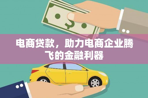 麦寮电商贷款，助力电商企业腾飞的金融利器